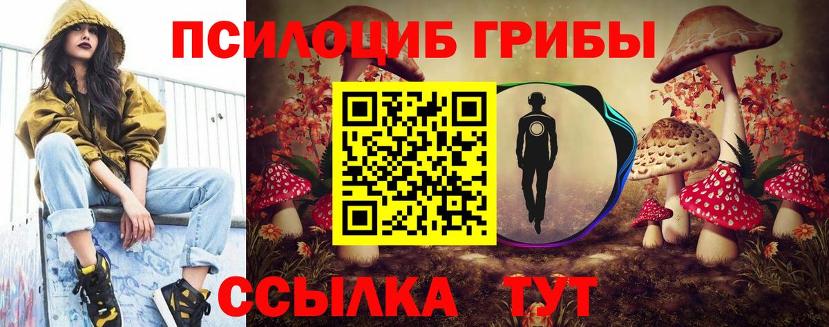 Псилоцибиновые грибы Magic Shrooms Топки